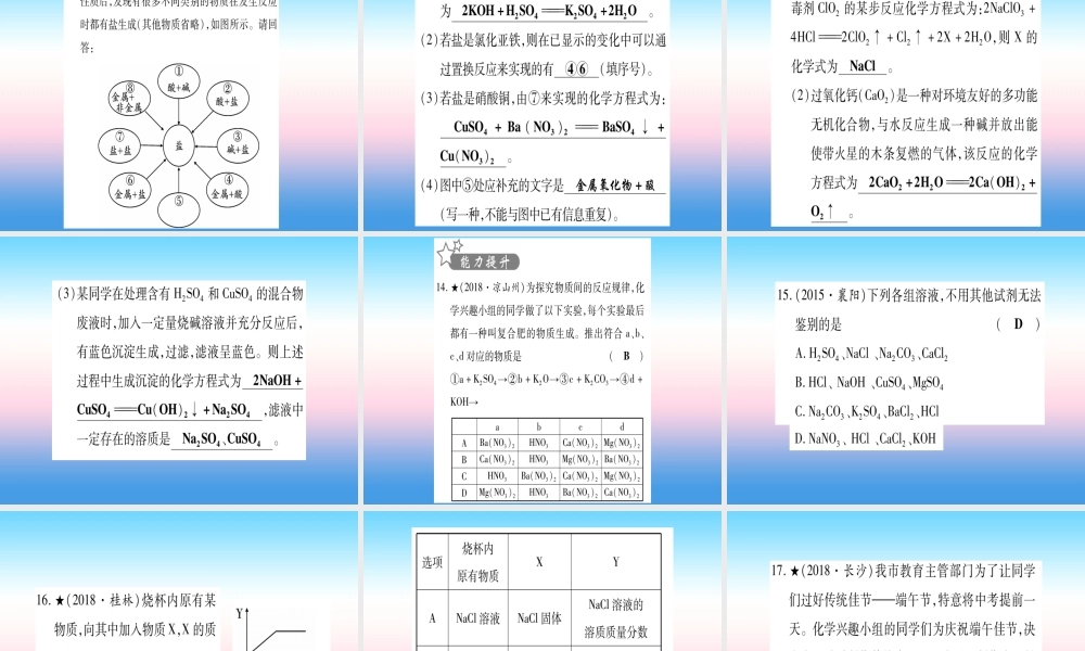 (湖北专版)中考化学总复习 第1部分 教材系统复习 九下 第11单元 盐 化肥习题课件1 课件
