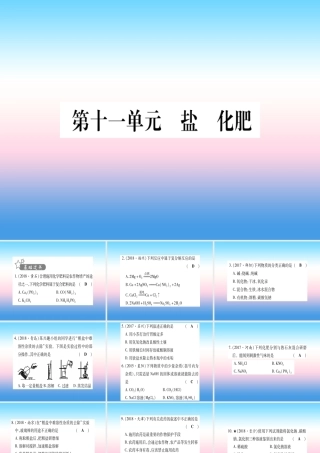 (湖北专版)中考化学总复习 第1部分 教材系统复习 九下 第11单元 盐 化肥习题课件1 课件