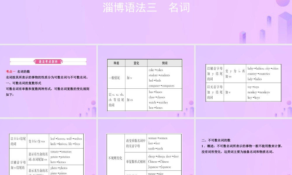 中考英语复习 语法三 名词课件