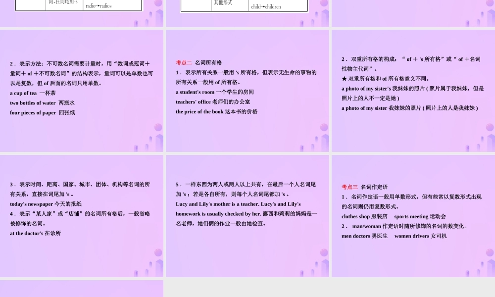 中考英语复习 语法三 名词课件