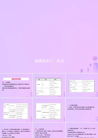 中考英语复习 语法三 名词课件