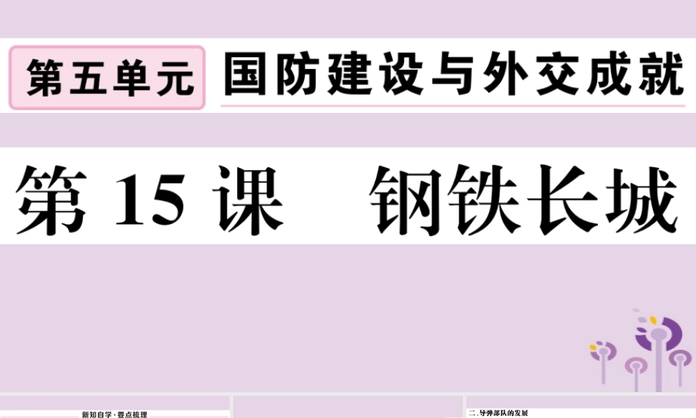 (玉林专版)八年级历史下册 第五单元 国防建设与外交成就 第15课 钢铁长城习题课件 新人教版 课件