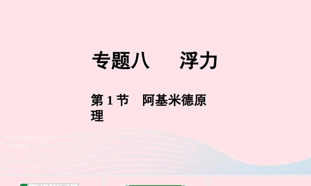 中考物理一轮复习 专题八 浮力 第1节 阿基米德原理课件