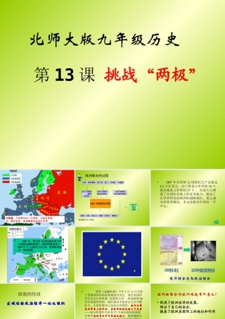 九年级历史下册 313(挑战 两极 )课件 北师大版  课件