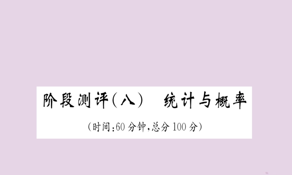 中考数学总复习 阶段测评(8)统计与概率课件