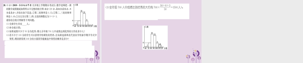 中考数学总复习 阶段测评(8)统计与概率课件