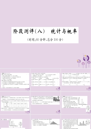 中考数学总复习 阶段测评(8)统计与概率课件