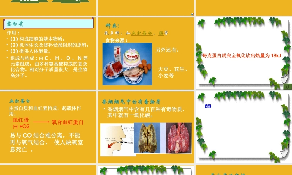 九年级化学下册 单元1三大营养物质课件