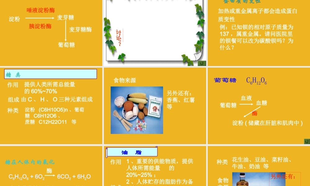 九年级化学下册 单元1三大营养物质课件