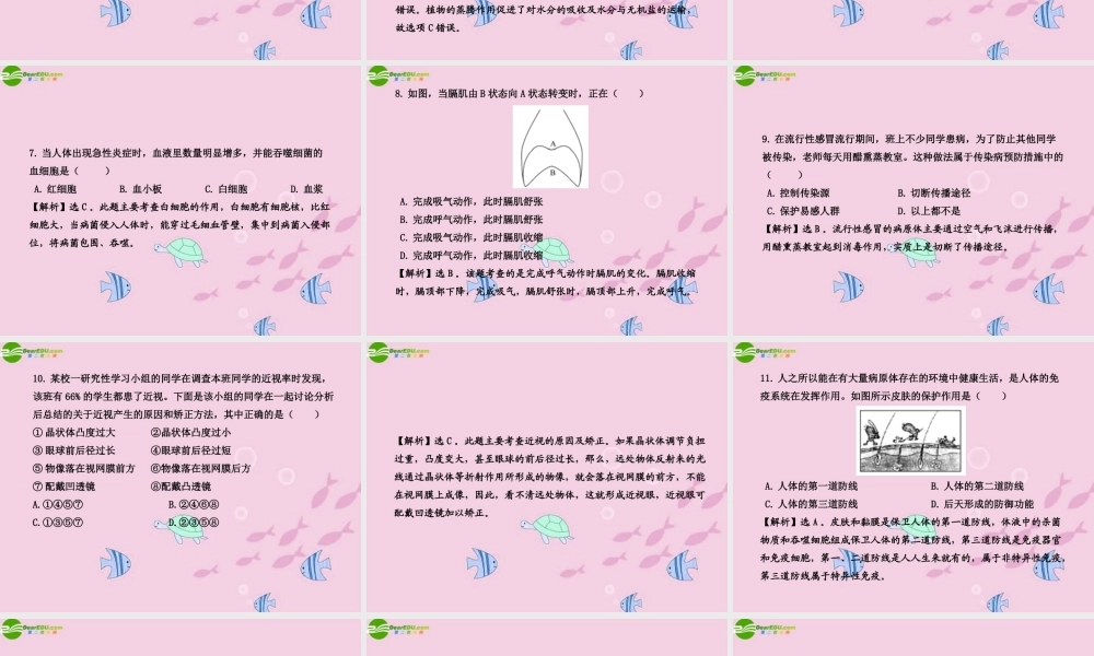 中考生物学业水平考试模拟冲刺二课件