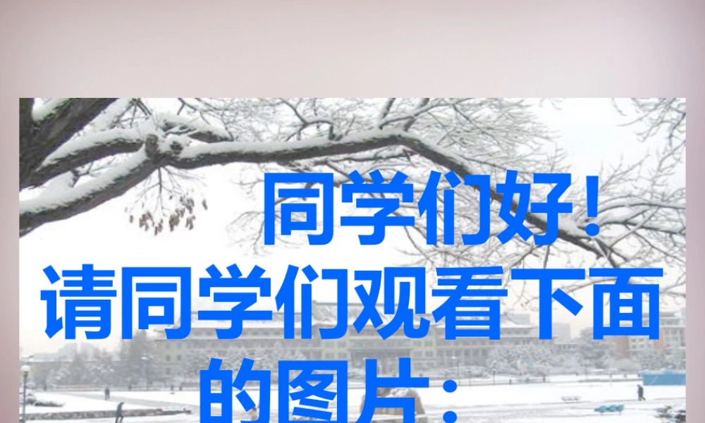 七年级历史下册 第一单元 第4课 科举制的创立课件 新人教版 课件