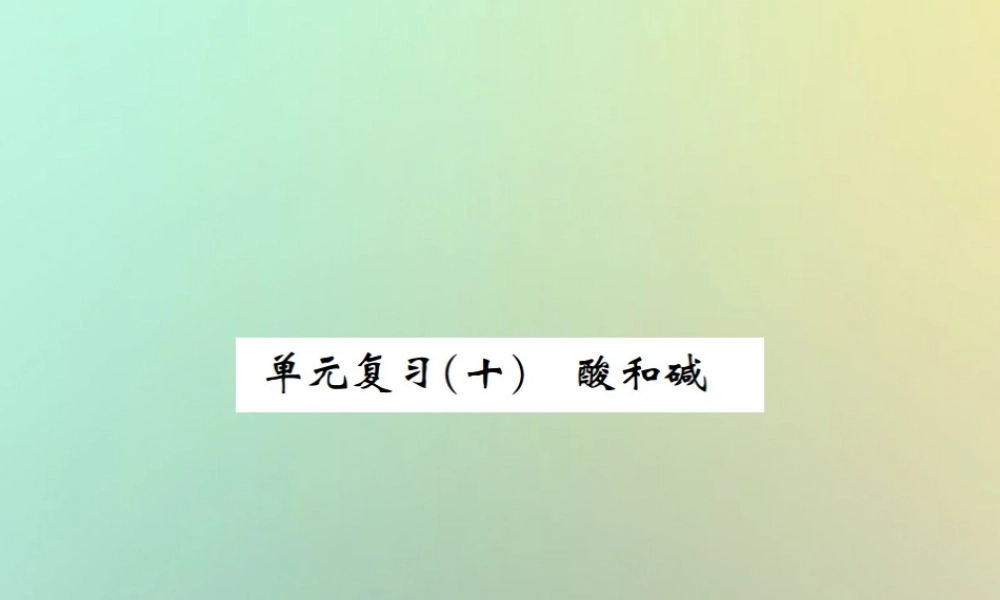 九年级化学下册 第十单元 酸和碱单元复习(十)习题课件 (新版)新人教版 课件