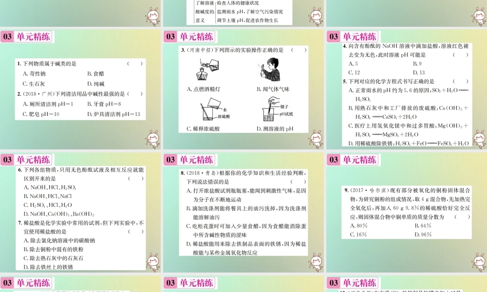 九年级化学下册 第十单元 酸和碱单元复习(十)习题课件 (新版)新人教版 课件