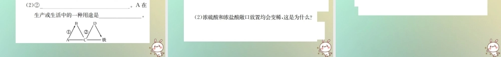 九年级化学下册 第十单元 酸和碱单元复习(十)习题课件 (新版)新人教版 课件