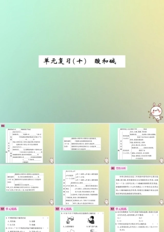 九年级化学下册 第十单元 酸和碱单元复习(十)习题课件 (新版)新人教版 课件