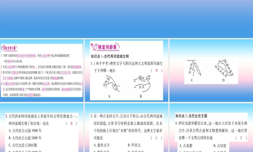 2018秋九年级历史上册 第1单元 古代亚非文明 第2课 古代两河流域习题课件 新人教版 课件