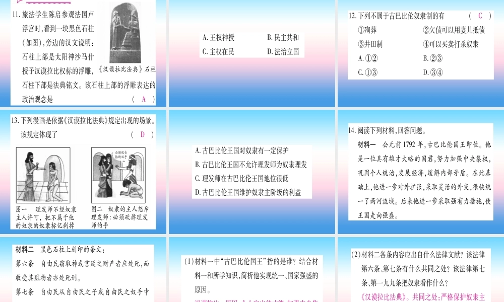 2018秋九年级历史上册 第1单元 古代亚非文明 第2课 古代两河流域习题课件 新人教版 课件