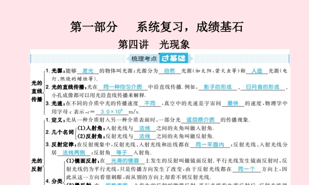 中考物理总复习 八上 第4讲 光现象课件