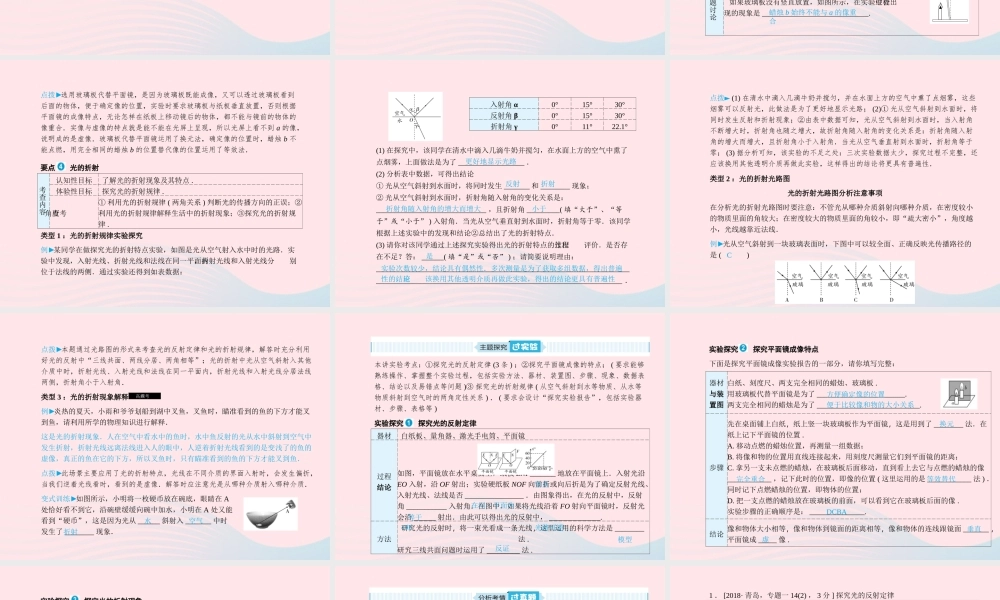 中考物理总复习 八上 第4讲 光现象课件