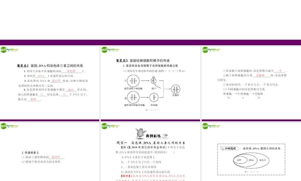 (随堂优化训练)八年级生物下册 第七单元 第二章 第二节 基因在亲子代间的传递 配套课件 人教新课标版 课件