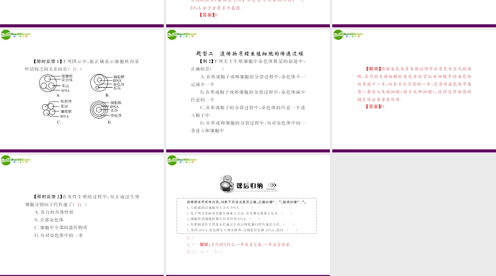 (随堂优化训练)八年级生物下册 第七单元 第二章 第二节 基因在亲子代间的传递 配套课件 人教新课标版 课件