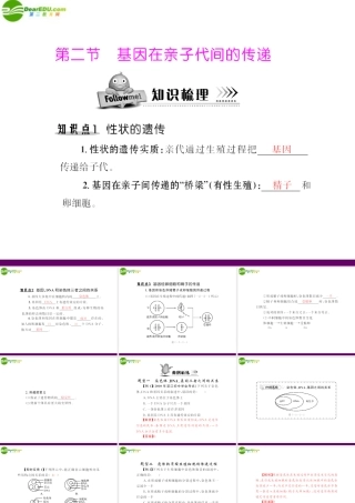 (随堂优化训练)八年级生物下册 第七单元 第二章 第二节 基因在亲子代间的传递 配套课件 人教新课标版 课件