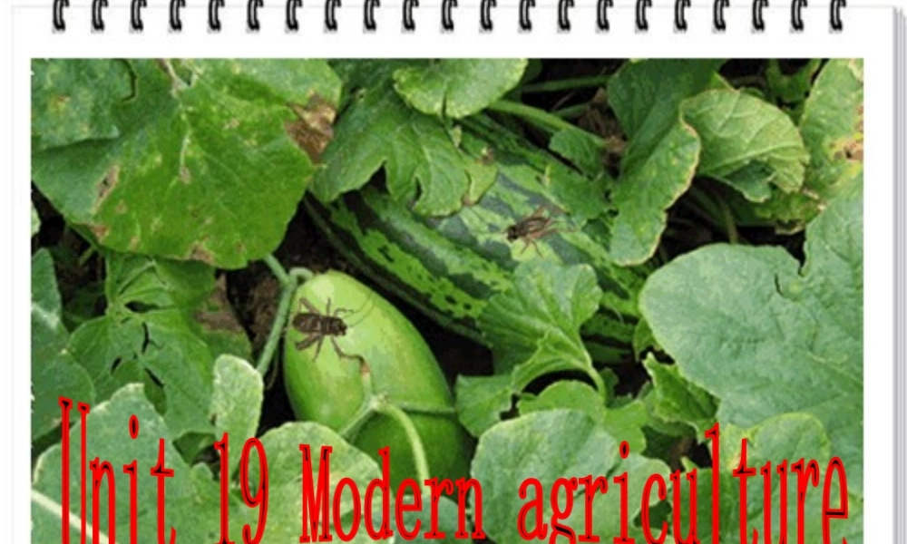 Unit19 modern agriculture warming up and speaking 人教版 课件