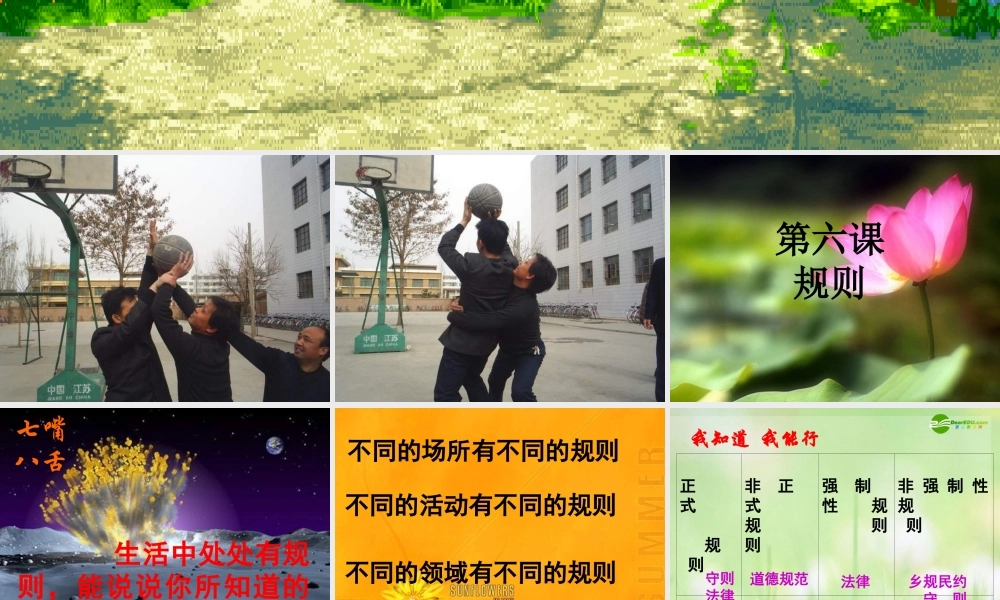 七年级政治下册 规则与秩序课件 教科版 课件