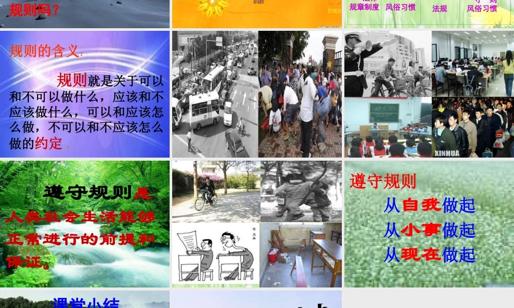 七年级政治下册 规则与秩序课件 教科版 课件