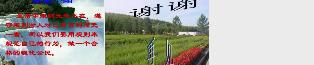 七年级政治下册 规则与秩序课件 教科版 课件