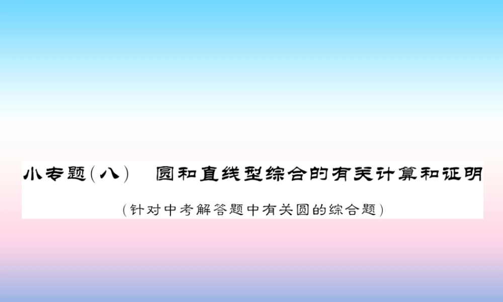 (课标版通用)中考数学总复习 第二轮 小专题集训 题型专攻 小专题(八)习题课件