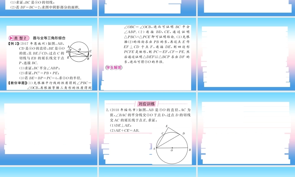 (课标版通用)中考数学总复习 第二轮 小专题集训 题型专攻 小专题(八)习题课件