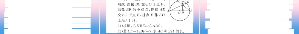 (课标版通用)中考数学总复习 第二轮 小专题集训 题型专攻 小专题(八)习题课件