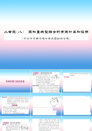 (课标版通用)中考数学总复习 第二轮 小专题集训 题型专攻 小专题(八)习题课件