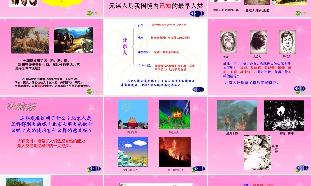 七年级历史上册 第1课 祖国境内的远古居民课件 人教新课标版 课件