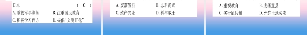 (云南专用)中考历史总复习 第一篇 考点系统复习 板块4 世界古、近代史 主题四 资本主义的发展和社会矛盾的激化 资本主义制度的扩张(精练)课件