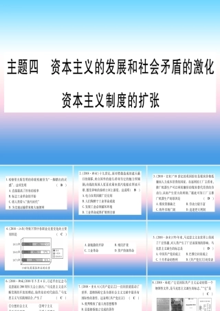 (云南专用)中考历史总复习 第一篇 考点系统复习 板块4 世界古、近代史 主题四 资本主义的发展和社会矛盾的激化 资本主义制度的扩张(精练)课件
