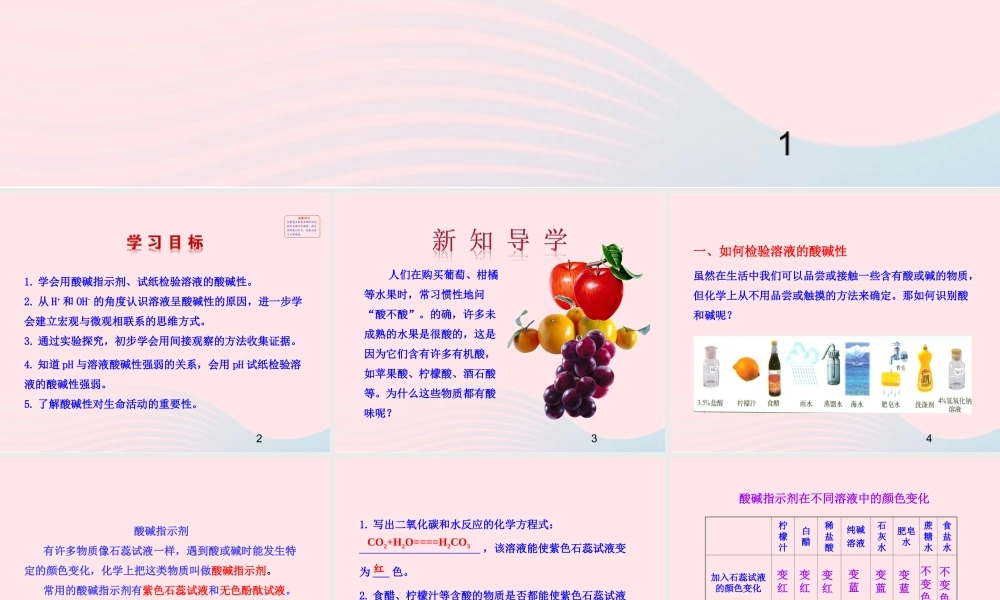 九年级化学下册 第七单元 第三节 溶液的酸碱性课件 鲁教版 课件