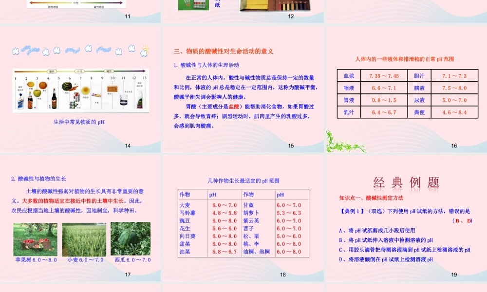 九年级化学下册 第七单元 第三节 溶液的酸碱性课件 鲁教版 课件