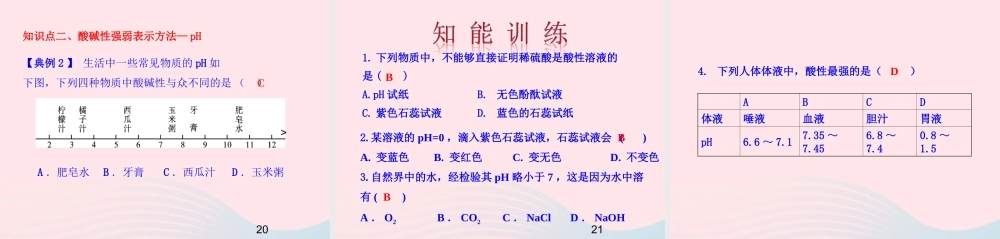 九年级化学下册 第七单元 第三节 溶液的酸碱性课件 鲁教版 课件