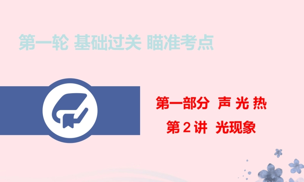 中考物理总复习 第一轮 基础过关 瞄准考点第2讲 光现象课件