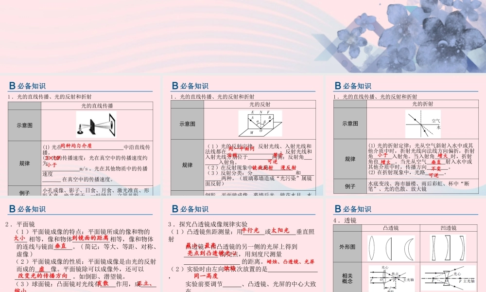 中考物理总复习 第一轮 基础过关 瞄准考点第2讲 光现象课件