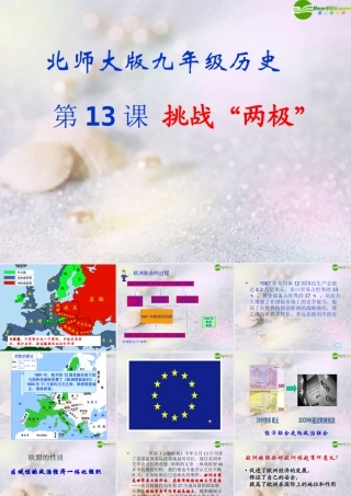 九年级历史下册 挑战两极教学课件 北师大版 课件