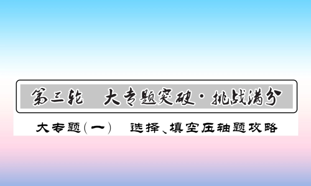 (课标版通用)中考数学总复习 第三轮 大专题突破 挑战满分 大专题(一)习题课件