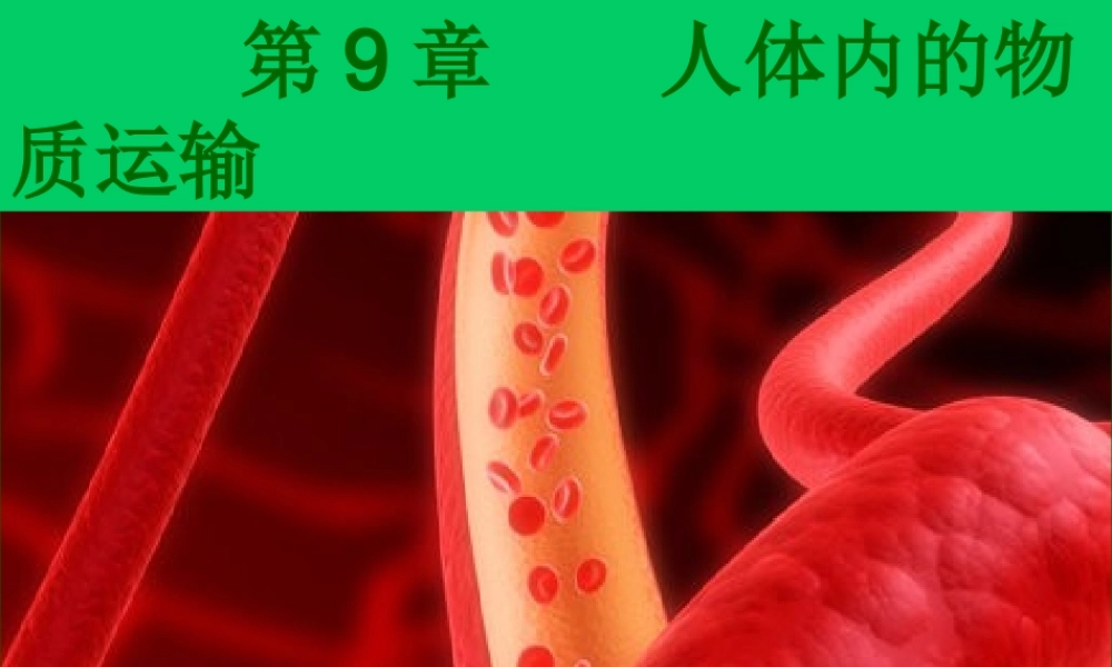 九年级下册 第四单元 第9章 人体内的物质运输课件 北师大版 课件