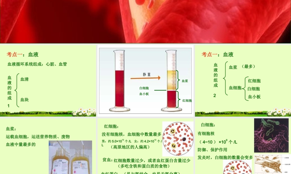 九年级下册 第四单元 第9章 人体内的物质运输课件 北师大版 课件