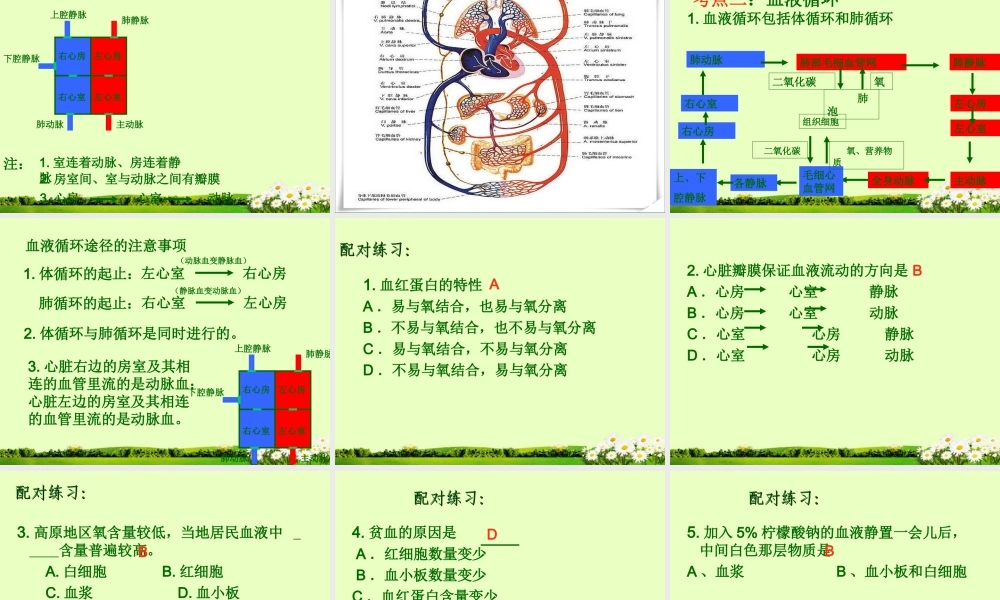 九年级下册 第四单元 第9章 人体内的物质运输课件 北师大版 课件