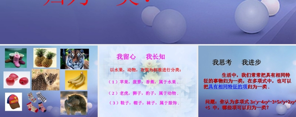 七年级数学上册 3.4 整式的加减 3.4.1 同类项导入素材 (新版)华东师大版 素材