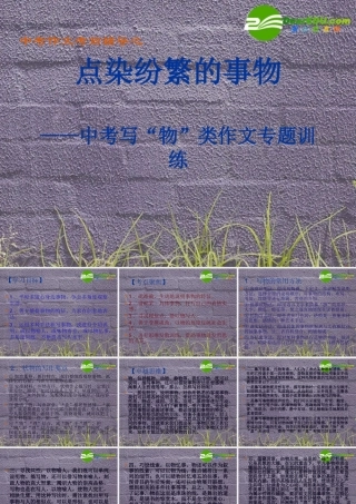 中考语文作文考前辅导课件点染纷繁的事物 课件