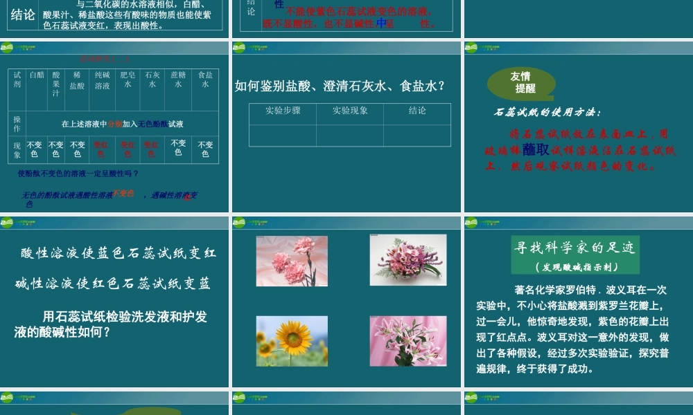 九年级化学 71溶液的酸碱性课件3沪教版 课件